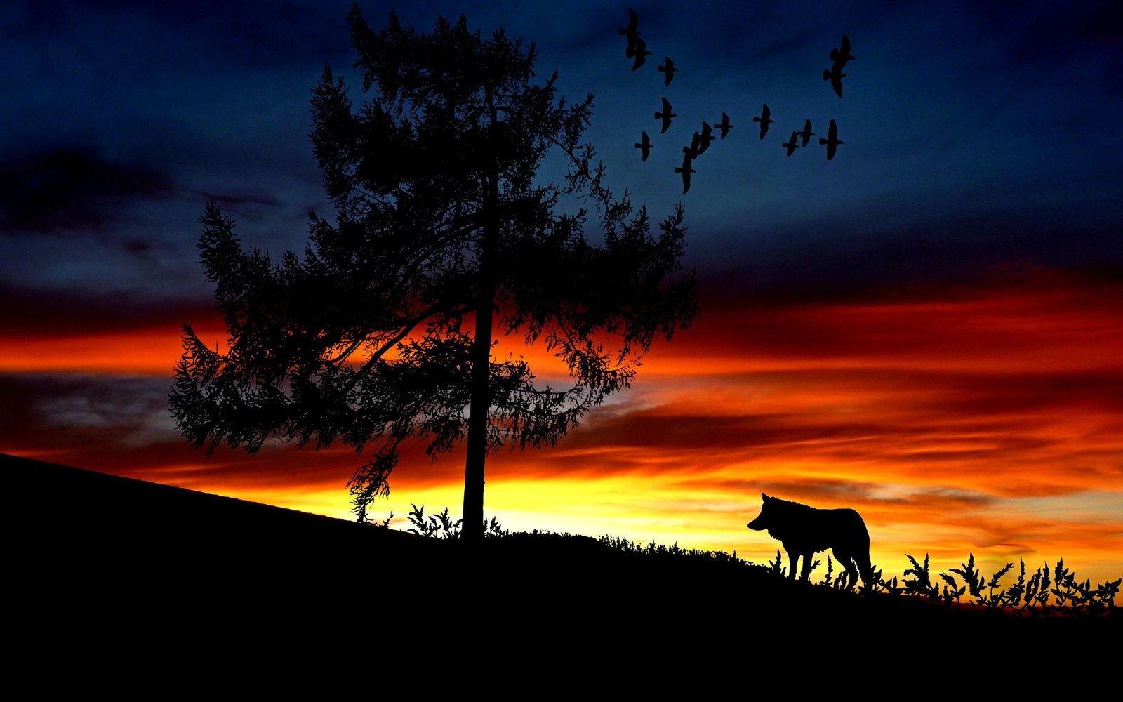 Silhouette of a wolf and lone tree against a fiery sunset with birds flying overhead
